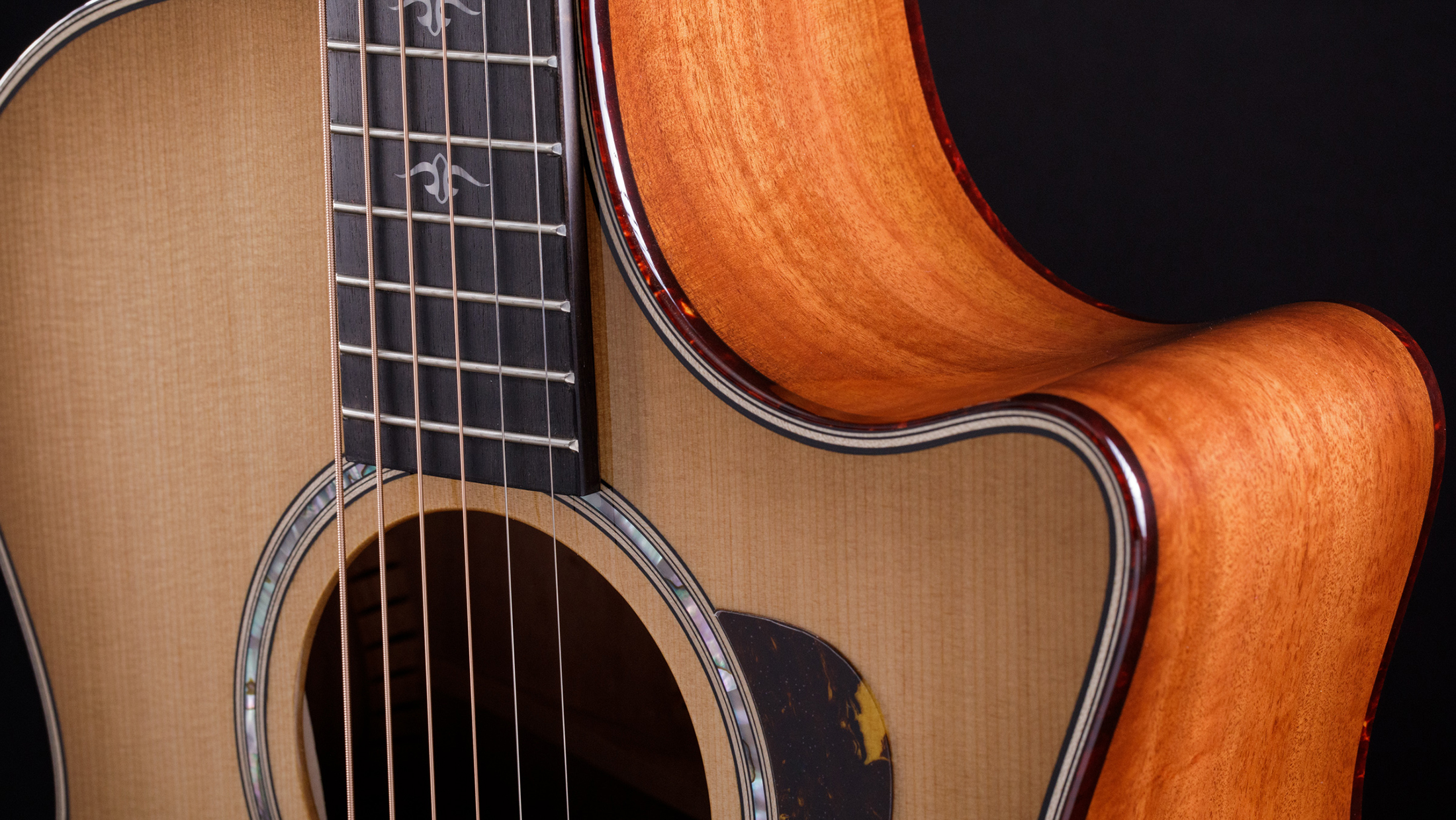 Taylor 514ce Acoustic Guitar | Palmer Music Company