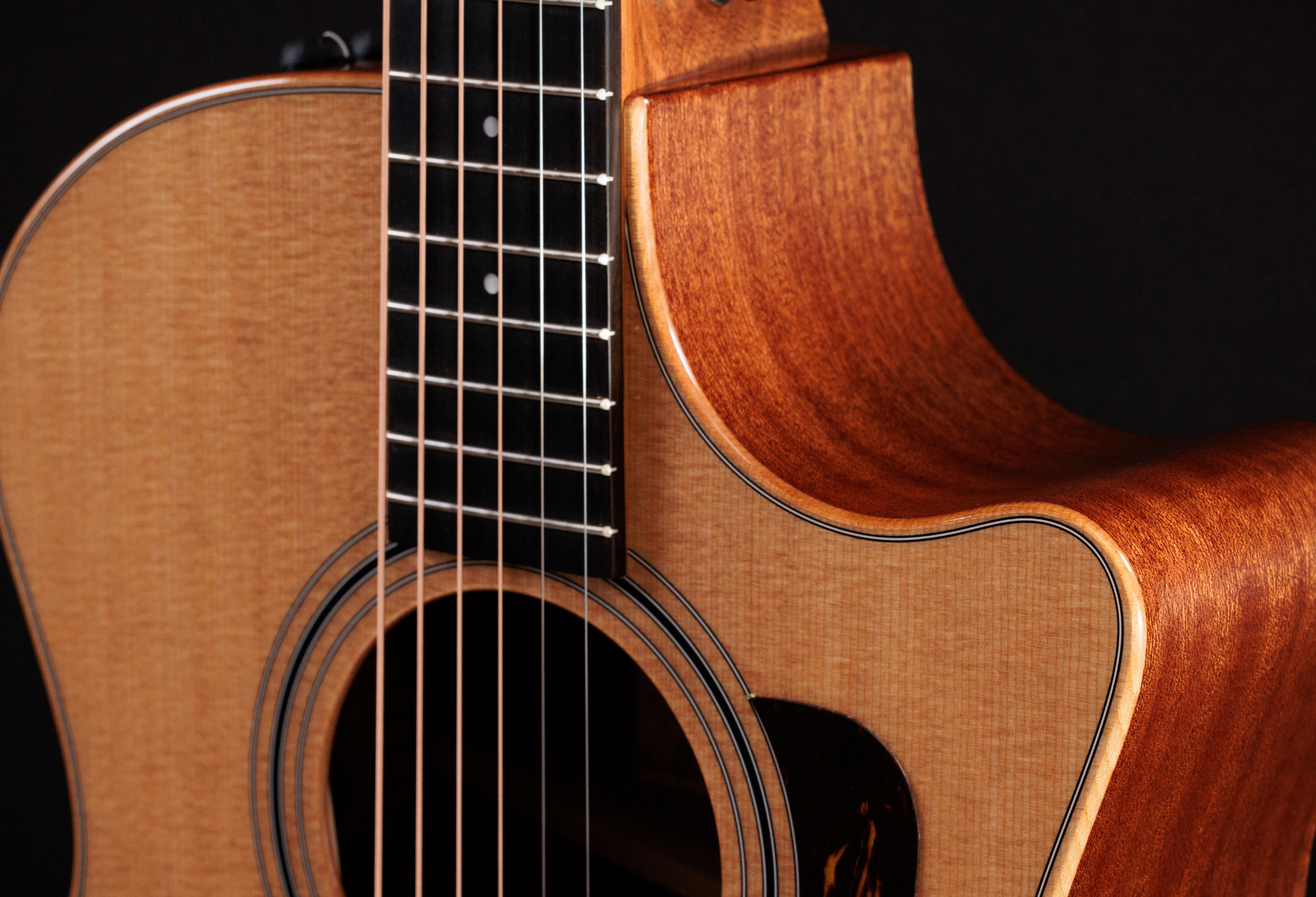 Taylor 314CE Studio | Palmer Music Company