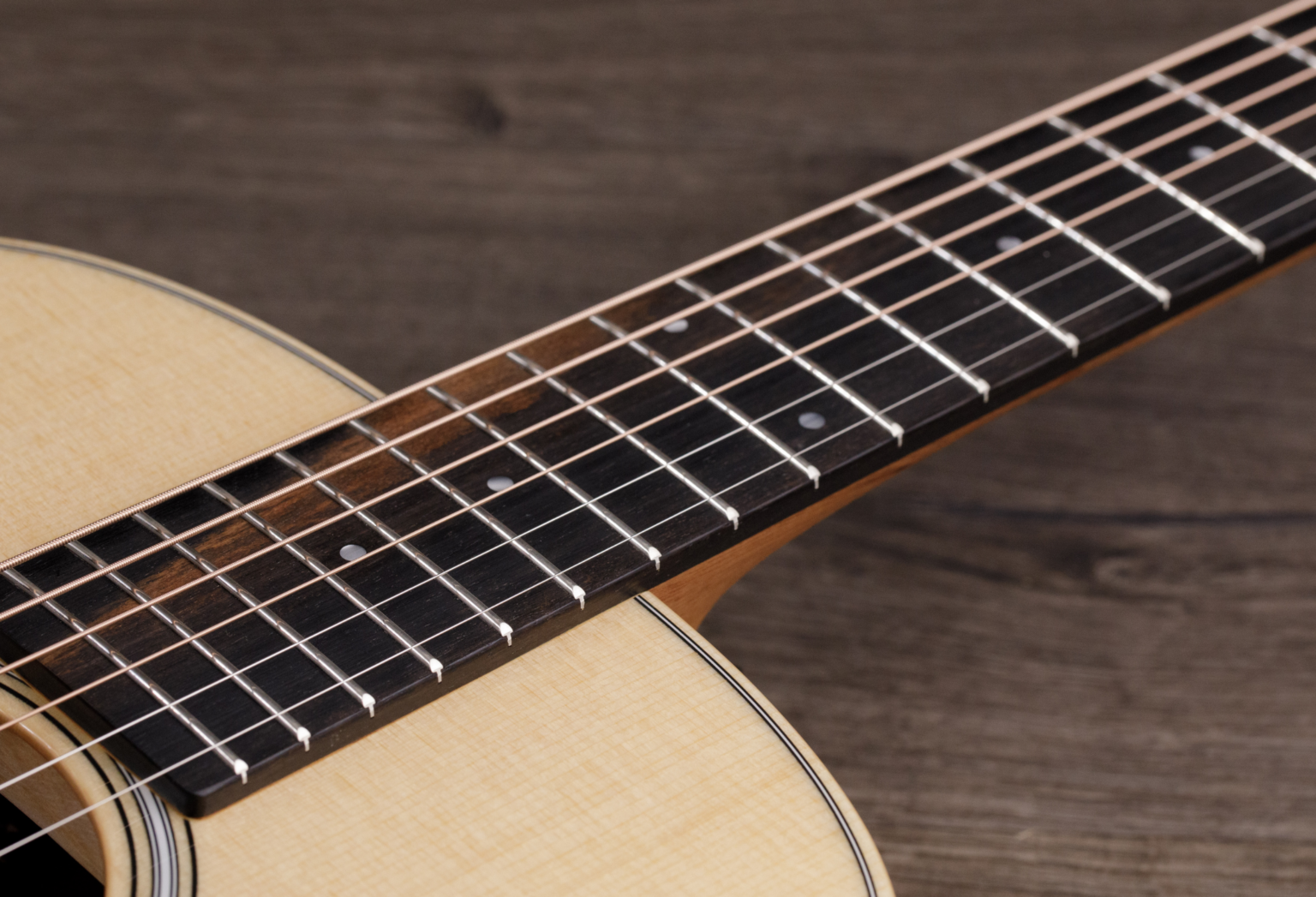 Taylor GS Mini-ER Plus Acoustic Guitar