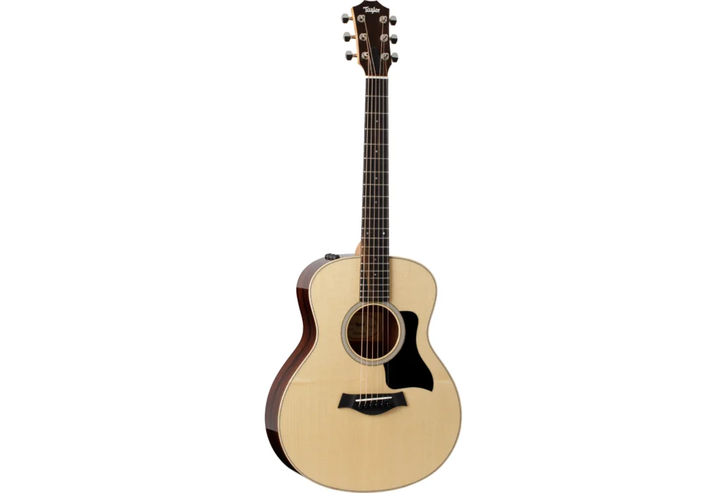 Taylor GS Mini-ER Plus