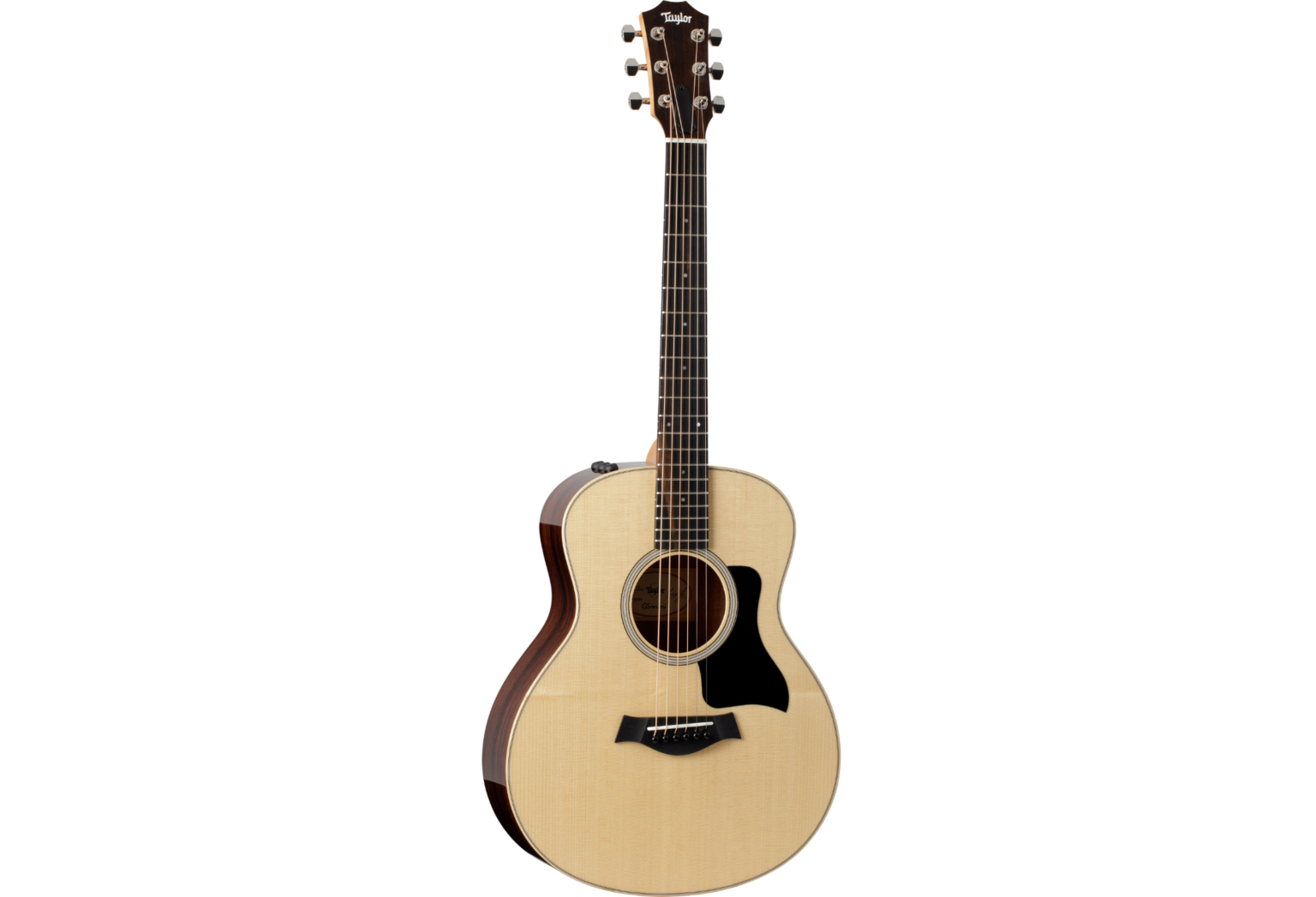 Taylor GS Mini-ER Plus